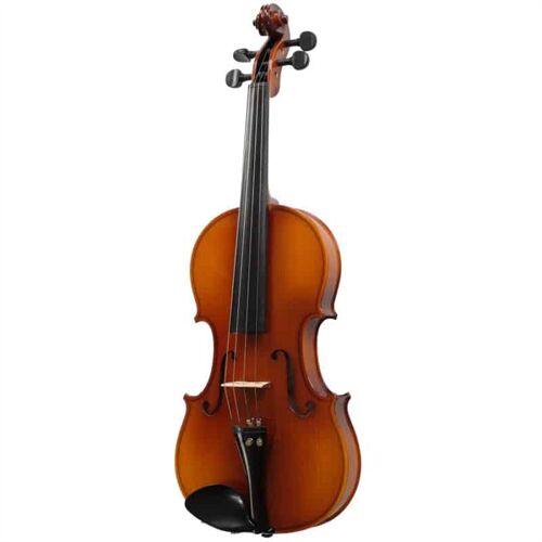 Đàn Violin Carlo Giordan Vân Vẽ Size 4/4